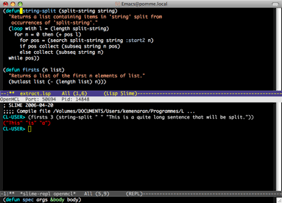 Carbon Emacs + Slime +
OpenMCL